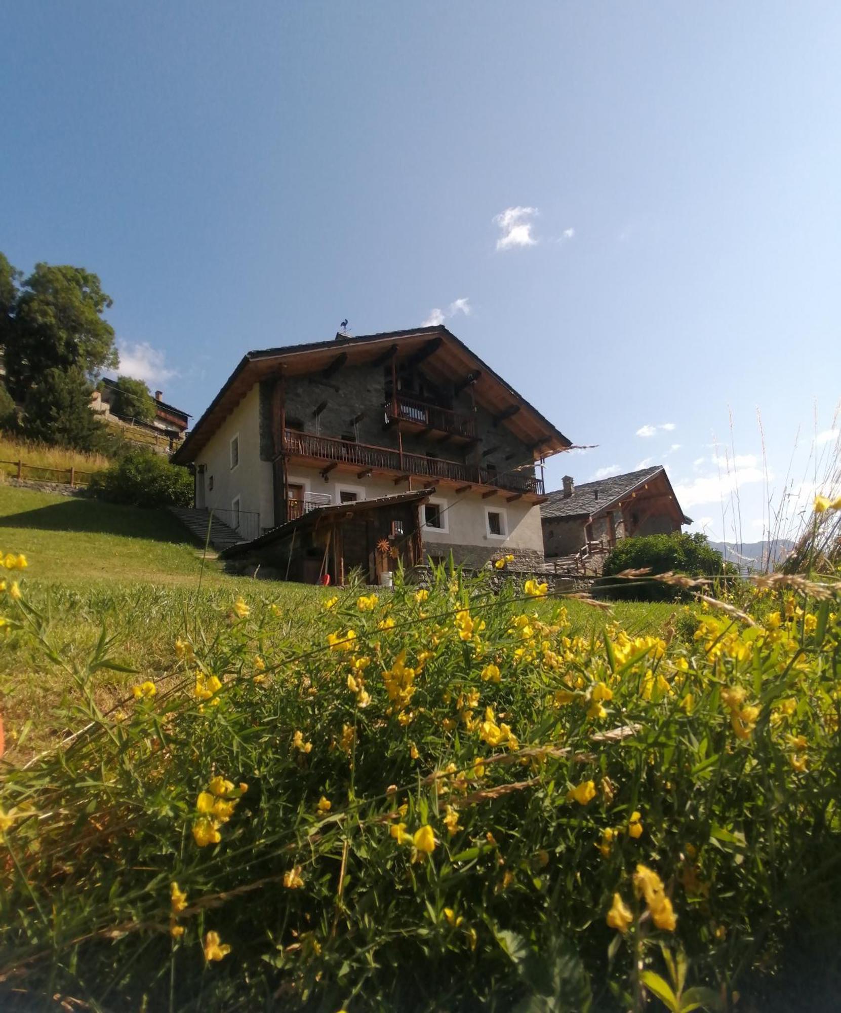La Thuillettaz B&B Сен-Ремі-ан-Босс Екстер'єр фото